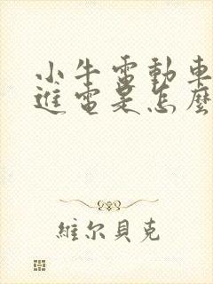 小牛电动车充不进电是怎么回事