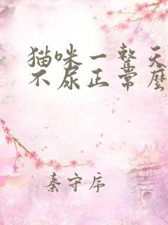 猫咪一整天不拉不尿正常么