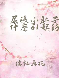 尿胀小肚子疼是什么引起的