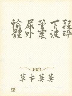 输尿管下段结石体外震波碎石多少钱