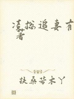 凌总追妻有点甜 著