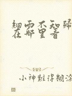 细雨不知归漫画在哪里看