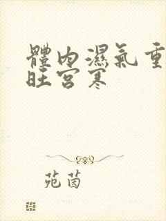 体内湿气重肝火旺宫寒