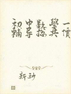 初中数学一对一辅导总共价格