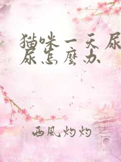 猫咪一天尿不出尿怎么办