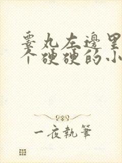 睾丸左边里面有个硬硬的小疙瘩