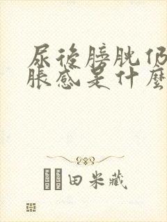 尿后膀胱仍然有胀感是什么原因