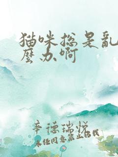 猫咪总是乱尿怎么办啊