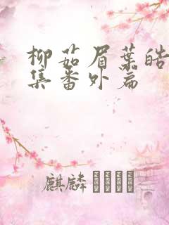 柳茹眉叶皓轩续集番外篇