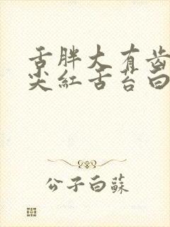 舌胖大有齿痕舌尖红舌苔白