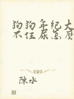 狗狗年纪大了憋不住尿怎么办