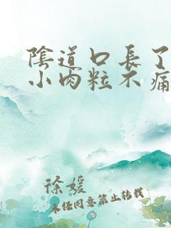 阴道口长了几个小肉粒不痛不痒