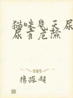 猫咪几天尿不出尿有危险