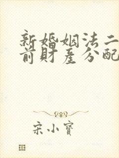 新婚姻法二婚婚前财产分配