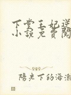 下堂王妃逆袭记小说免费阅读全文