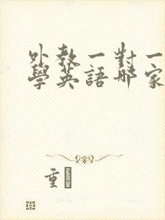 外教一对一在线学英语哪家好