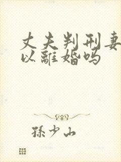 丈夫判刑妻子可以离婚吗