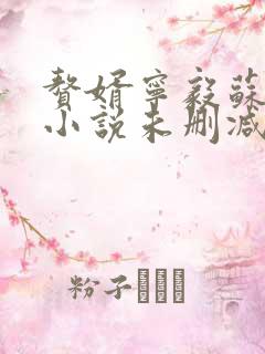 赘婿宁毅苏檀儿小说未删减在线看