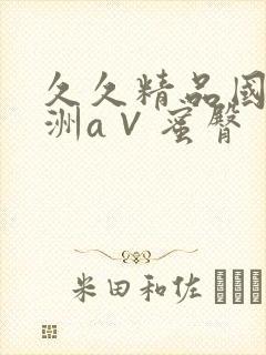 久久精品国产亚洲a∨蜜臀