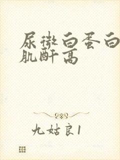 尿微白蛋白和尿肌酐高