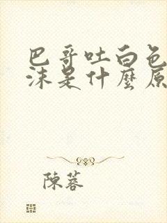 巴哥吐白色的泡沫是什么原因