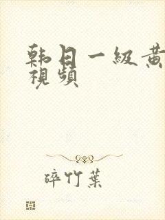 韩日一级黄色的视频