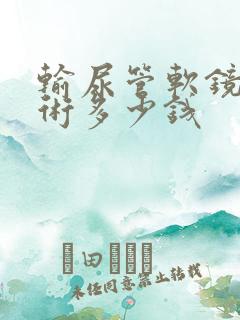 输尿管软镜取石术多少钱