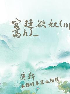 宫廷欲奴(np高h)_
