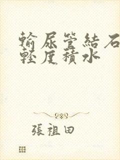 输尿管结石伴肾轻度积水