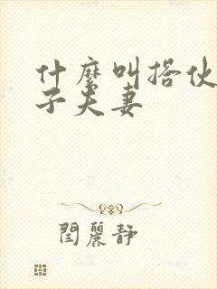 什么叫搭伙过日子夫妻