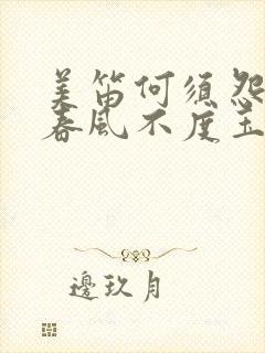 美笛何须怨杨柳春风不度玉门关的意思