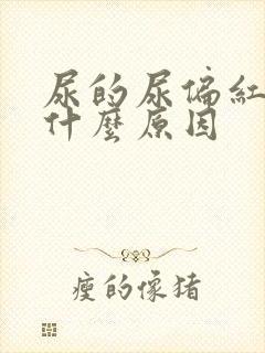 尿的尿偏红色是什么原因