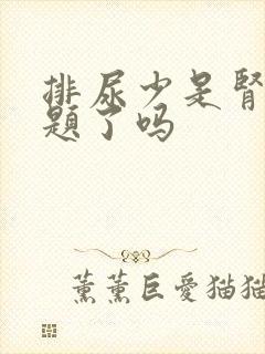 排尿少是肾出问题了吗