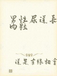 男性尿道长了小肉粒