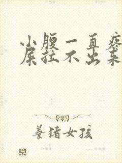 小腹一直疼想拉屎拉不出来