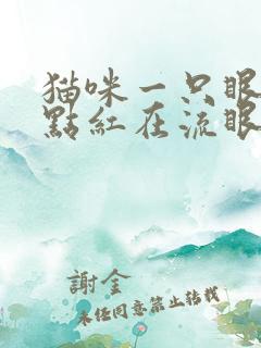 猫咪一只眼睛有点红在流眼泪怎么回事