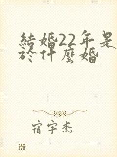 结婚22年是属于什么婚