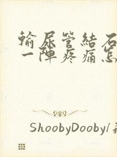 输尿管结石一阵一阵疼痛怎么办