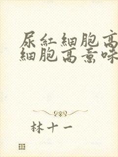 尿红细胞高尿白细胞高意味着什么