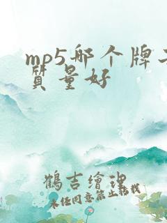 mp5哪个牌子质量好