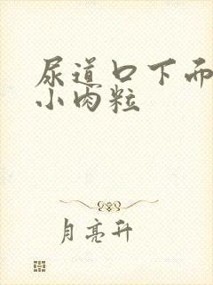 尿道口下面长个小肉粒