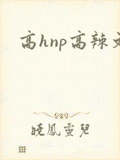 高hnp高辣文