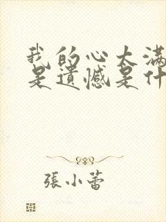 我的心太满全都是遗憾是什么歌