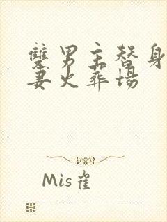 双男主替身梗追妻火葬场