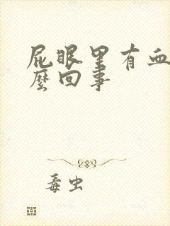 屁眼里有血是怎么回事