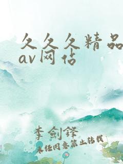 久久久精品国产av网站