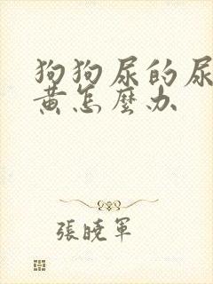 狗狗尿的尿特别黄怎么办