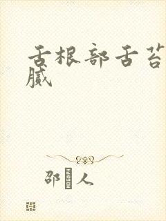 舌根部舌苔白厚腻