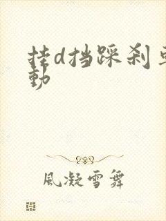 挂d挡踩刹车抖动