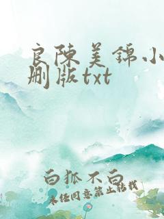 良陈美锦小说未删版txt